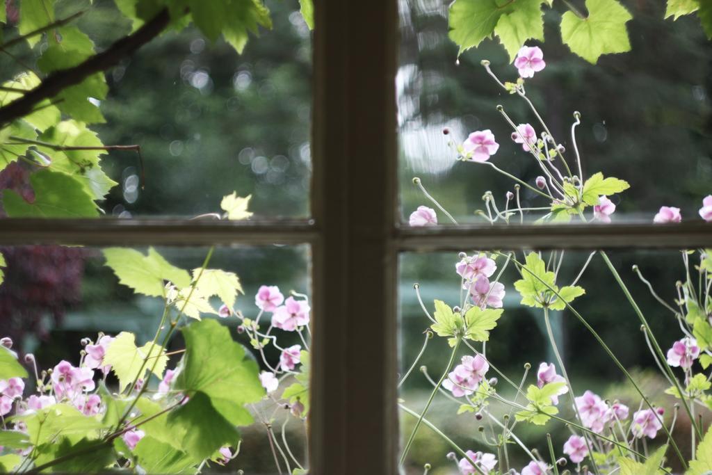 The Dower House Muir of Ord Ruang foto